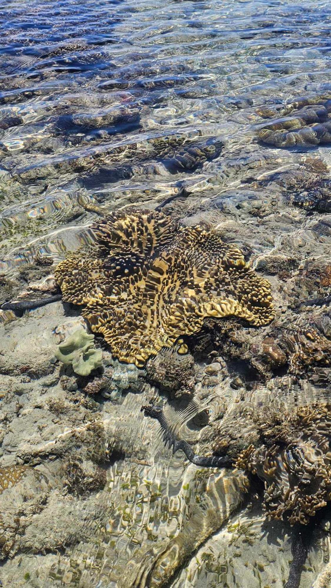 Eagles Nest Beach Resort Davao City Exteriér fotografie